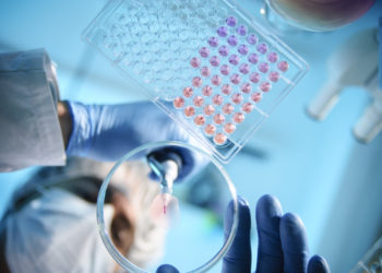 A scientist using a pipette with a microtiter plate and a petri dish