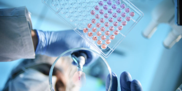 A scientist using a pipette with a microtiter plate and a petri dish