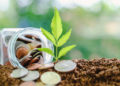Agriculture And Economy