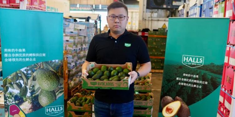 Halls Fresh Produce China Executive Mr Lifan Yu displays a Kakuzi premium Hass Avocados carton at the Shanghai Huizhan Fruit and Vegetable Market on 04082022