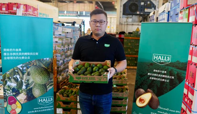 Halls Fresh Produce China Executive Mr Lifan Yu displays a Kakuzi premium Hass Avocados carton at the Shanghai Huizhan Fruit and Vegetable Market on 04082022