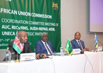 Moses Kuria At The African Union Meeting