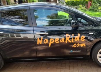 NopeaRide Electric Car