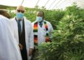 President Emmerson Mnangagwa commissions U.S.$27 million Swiss medicinal cannabis farm and processing plant