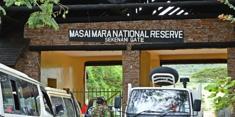 sekenani gate masai mara kenya