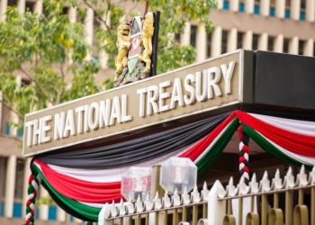 The National Treasury