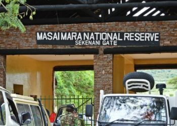 sekenani gate masai mara kenya