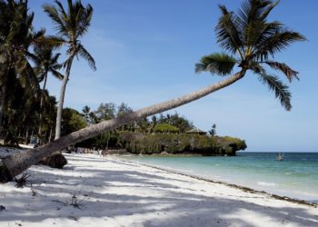 shore line Mombasa Kenyan coast