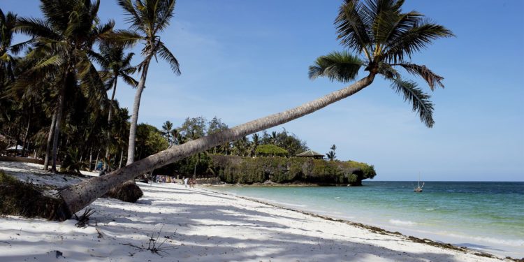 shore line Mombasa Kenyan coast